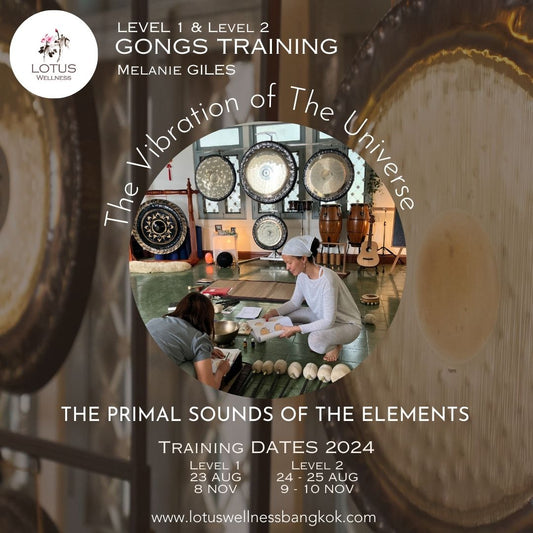 Level 1: Gong The Primal Sound of the Elements