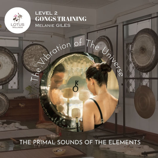 Level 2: Gong The Primal Sound of the Elements